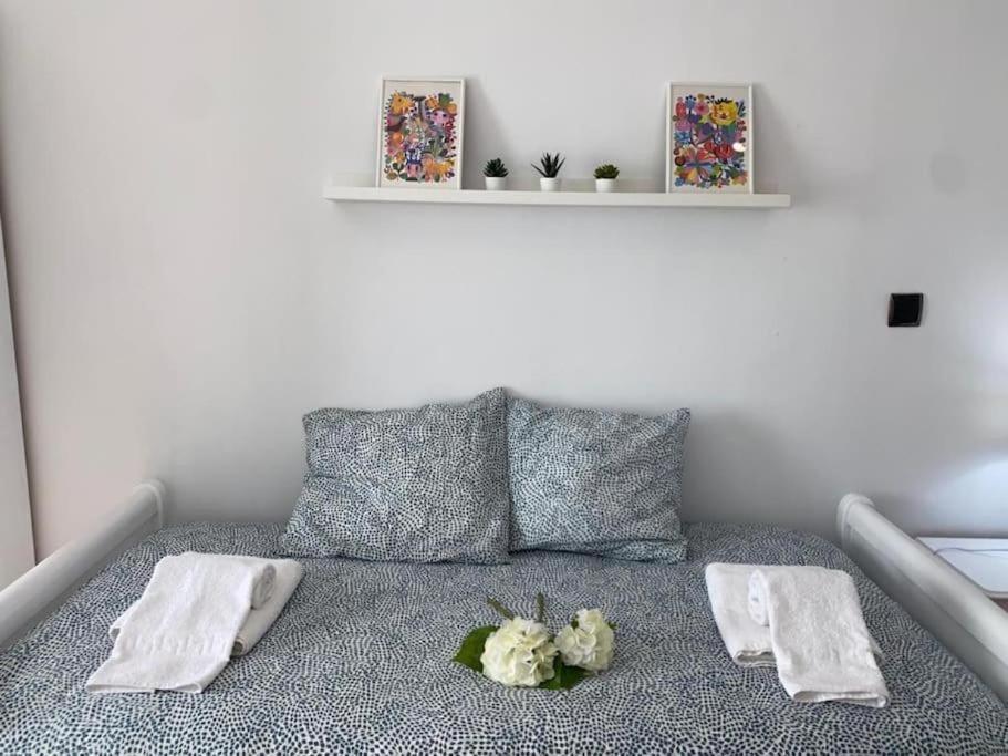 Apartamento Soltova Casar de Cáceres Exterior foto